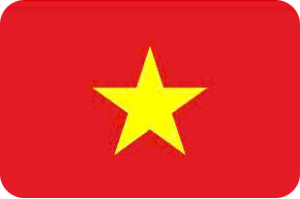 cờ vn